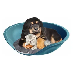 Georplast Beddy Pillow Pet Bed with Removable Cushion 57 x 48 x 16 cm