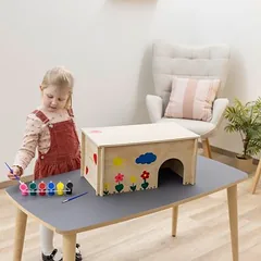 Kerbl Pet graužikų namelis dažymui, L 50 x B 29 x H 24 cm, su 6 spalvomis ir teptuku — 2 nuotrauka