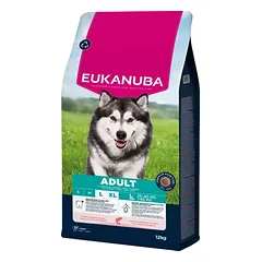 Eukanuba Life Care Adult sausas maistas didelių veislių šunims su lašiša ir miežiais L 12 kg