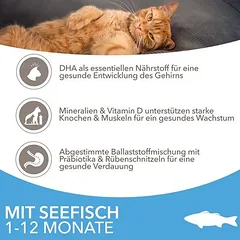 IAMS Advanced Nutrition Kitten su jūros žuvimi, sausas maistas kačiukams, > 10 kg — 4 nuotrauka