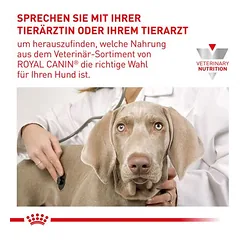 Royal Canin Expert Canine Calm Small Dog sausas maistas šunims, 4 kg — 4 nuotrauka