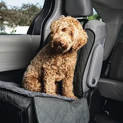 Karlie Dirty Dog automobilio sėdynių apsauginė užtiesalas, pilka, Matmenys: 112 x 89 cm — 2 nuotrauka