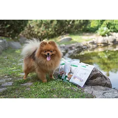 Šunų skanėstai - antienos juostelės, 75 g — 2 nuotrauka