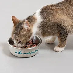 TIAKI nerūdijančio plieno dubenėlis „In The Mood For Food“, 850 ml, Ø 17,2 cm — 5 nuotrauka