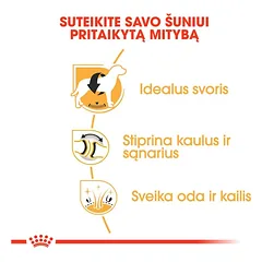 ROYAL CANIN Labrador Retriever Adult sausas pašaras šunims 12 kg, BHN 12kg — 2 nuotrauka