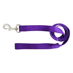 Hamilton Single Thick Leash Short - nailoninis pavadėlis vidutinio dydžio ir didelių veislių šunims, plotis ilgis 122 cm, Czerwony / 25mm — 4 nuotrauka