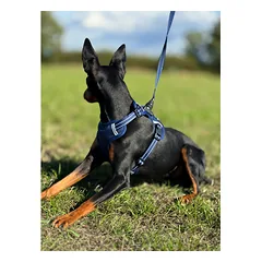 OURDOGSLIFE magnetinės šunų petnešos + 2 m pavadėlis (komplektas), S, mėlyna — 5 nuotrauka