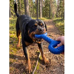 Šunų žaislas, guminis, kaulo formos, mėlynas, 37 cm — 2 nuotrauka