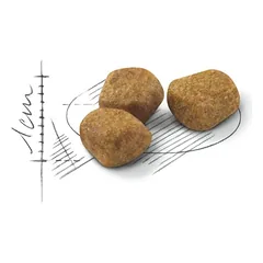 ROYAL CANIN Indoor +7 sausas pašaras katėms, 3.5 kg — 2 nuotrauka