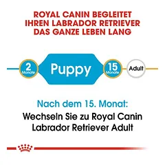 Royal Canin Labrador Retriever Puppy sausas maistas šunims, > 10 kg — 4 nuotrauka