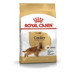 ROYAL CANIN Cocker adult 24 kg (2 x 12 kg) sausas maistas suaugusiems kokerspanieliams