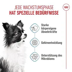 Royal Canin X-Small Puppy sausas maistas šuniukams, 1,5 - 2,9 kg — 3 nuotrauka