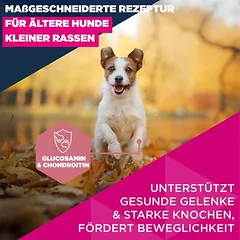 Eukanuba Premium Nutrition Senior Small Breed su vištiena, sausas maistas šunims, 5 - 9,9 kg — 4 nuotrauka