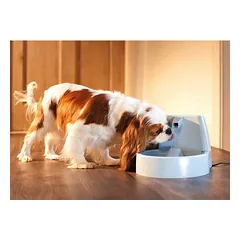PetSafe® Drinkwell® Original girdymo fontanas, Premium pakaitinis filtras, 3 vnt. (BE geriamojo fontano) — 4 nuotrauka