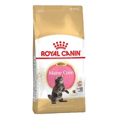 Royal Canin Maine Coon Kitten sausas maistas kačiukams, > 10 kg — 2 nuotrauka