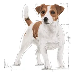 ROYAL CANIN Mini Adult sausas pašaras šunims 8kg, SHN 8kg — 4 nuotrauka