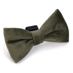 Designed by Lotte Fliege Zaza grün für Katzenhalsbänder