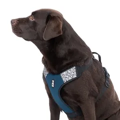 TIAKI Reflective petnešos, Labai mažiems < 4 kg — 4 nuotrauka
