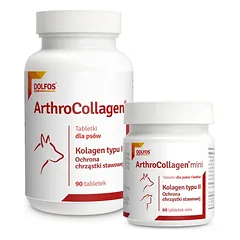 ArthroCollagen 90 tab