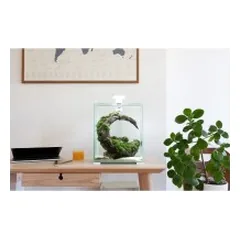Aquael Shrimp Set Smart Day&Night 30 Black akvariumas su įranga krevetėms 30 l — 3 nuotrauka