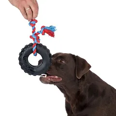 TIAKI guminė padanga su virve, žaislas šunims, Vidutiniams 11–25 kg — 2 nuotrauka