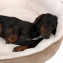 TIAKI guolis šunims Throne, Vidutiniams 11–25 kg — 4 nuotrauka