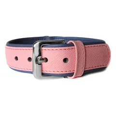 Das Lederband Hundehalsband Milano candy/saphire