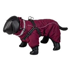 Nobby Elor 2in1 bordo striukė šuniui, 48 cm
