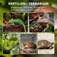 Roplių terariumas, 48 l, 50 × 35 × 30 cm — 4 nuotrauka