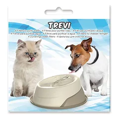Georplast filtrai vandens fontanui trevi, 4 vnt.