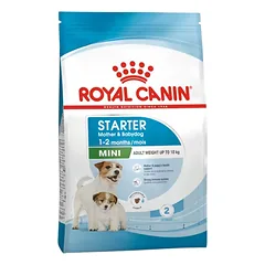 ROYAL CANIN SHN Dog Mini Starter Mother&Babydog sausas maistas šuningoms kalėms ir jų šuniukams 8 kg