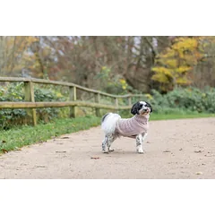 TRIXIE Norwood megztinis, XS: 27 cm, kreminė — 3 nuotrauka