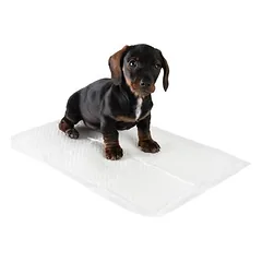 zooplus Exclusive lavinimo kilimėlis šuniukams, Didelis: L 60 x B 45 cm, 30 vnt. — 3 nuotrauka