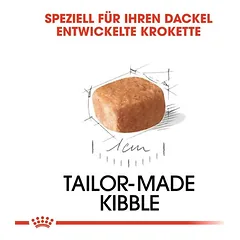 Royal Canin Dachshund Puppy sausas maistas šuniukams — 3 nuotrauka