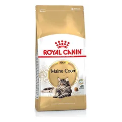Royal Canin Maine Coon Adult sausas maistas katėms