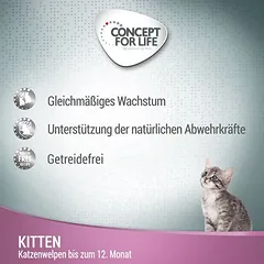 Concept for Life Kitten su jautiena, begrūdis, padaže, drėgnas maistas kačiukams — 2 nuotrauka