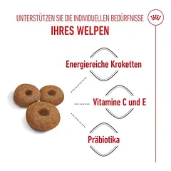 Royal Canin Maxi Starter Mother & Babydog sausas maistas šunims — 5 nuotrauka