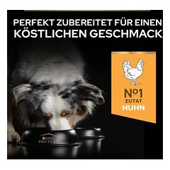 PURINA PRO PLAN Medium & Large Adult 7+ Age Defence sausas maistas šunims, > 10 kg — 4 nuotrauka