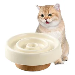 KPYTE Slow-Food-Katzennapf