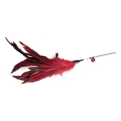 Camon žaislas katėms – meškerė su plunksnomis ir spirale, 46 cm