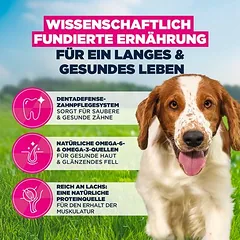 Eukanuba Premium Nutrition Adult Small & Medium Breed su lašiša, sausas maistas šunims — 4 nuotrauka