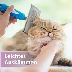 Felisept kailio priežiūros purškalas katėms, 250 ml — 2 nuotrauka