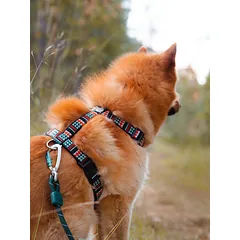 WOOLLY WOLF Woodland petnešos šunims, L — 4 nuotrauka