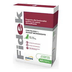 FIDEK 1000 mg Maisto papildai šunų kepenų funkcijai ir detoksikacijai N40