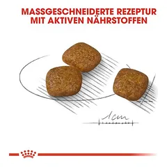 Royal Canin Mini Urinary Care sausas maistas šunims — 5 nuotrauka
