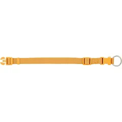 TRIXIE Premium antkaklis, XXS-XS: 15-25 cm/10 mm, kario