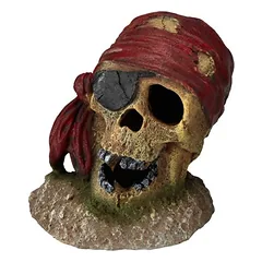Aqua Della Aquariumdekoration Piraten-Totenkopf mit Augenklappe