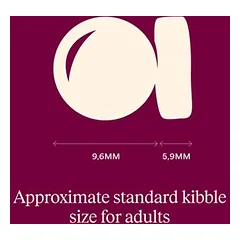 Carnilove True Fresh Large Adult Cat su jautiena, sausas maistas katėms — 5 nuotrauka