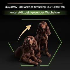 PURINA PRO PLAN Large Athletic Puppy Healthy Start sausas maistas šuniukams, 3 - 4,9 kg — 5 nuotrauka