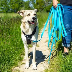 Pawz & Pepper ilgas pavadėlis Strong, mėlynas, 5 m ilgio, 10 mm pločio — 4 nuotrauka